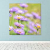 海辺デイジー キャンバスプリント (インサイチュ (ウッドフロア))