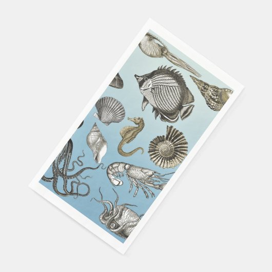 海辺 (コーナー)