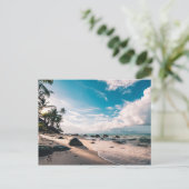 海辺 シーズンポストカード (スタンド正面)