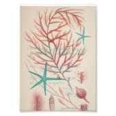 海辺 フォトプリント            (正面)