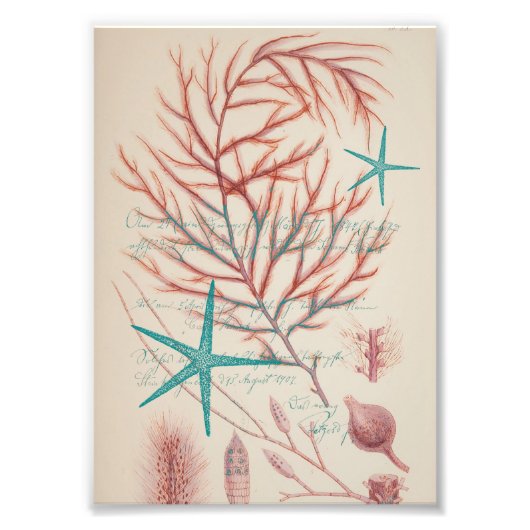 海辺 フォトプリント            (正面)