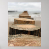 海辺 ポスター (正面)