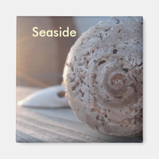 海辺 マグネット