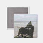 海辺 マグネット (正面/裏面)