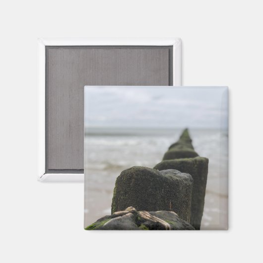海辺 マグネット (正面/裏面)