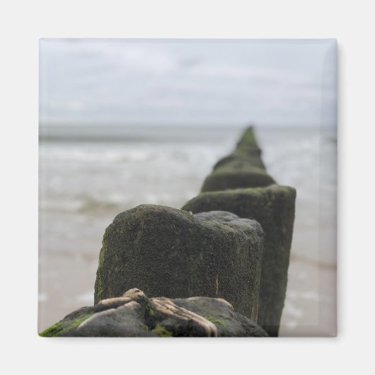 海辺 マグネット (正面)