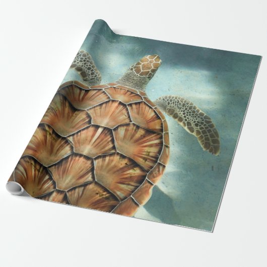 海辺 ラッピングペーパー (アンロールド)