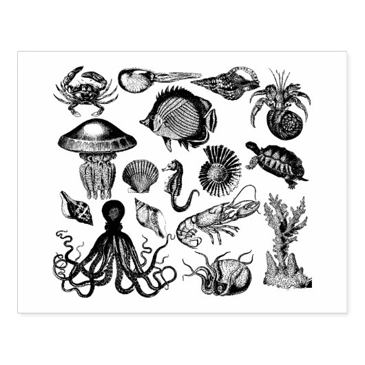 海辺 ラバースタンプ (インプリント)