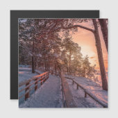 海近くの松林での冬の夕焼け (正面/裏面)