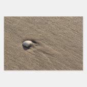 海違うの貝写真 ラッピングペーパーシート (正面3)