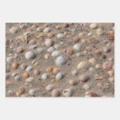 海違うの貝写真 ラッピングペーパーシート (正面)