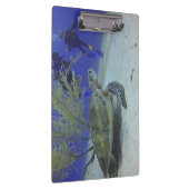 海野生生物のクリップボードとウミガメの画像 クリップボード (右)