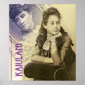 海雲谷 ポスター (正面)