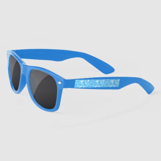 海青 サングラス (左)