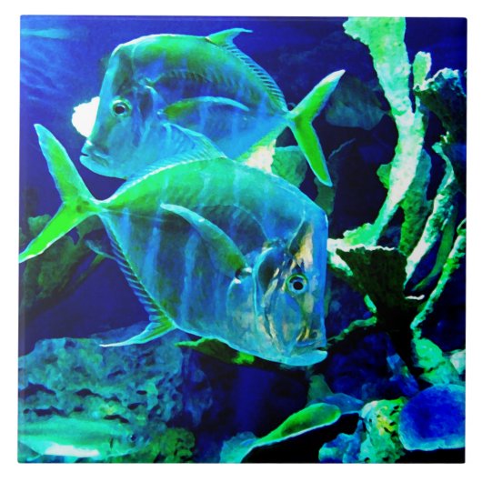 海青 タイル (正面)