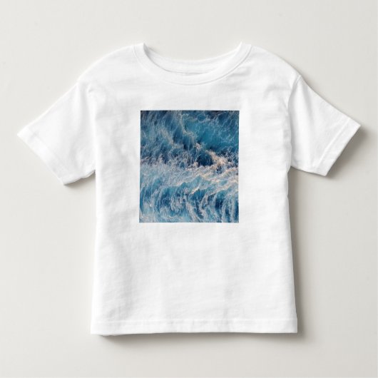 海青 トドラーTシャツ (正面)