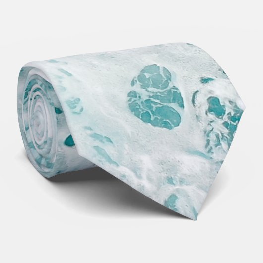 海青 ネクタイ (ロール)