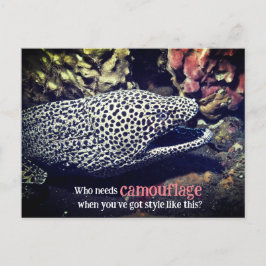 海面下でマダラ科ウナギ シーズンポストカード