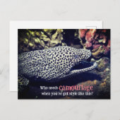 海面下でマダラ科ウナギ シーズンポストカード (正面/裏面)