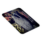 海面下でマダラ科ウナギ マグネット (右側)