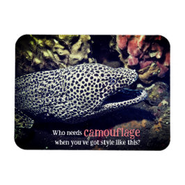 海面下でマダラ科ウナギ マグネット