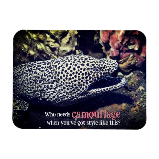 海面下でマダラ科ウナギ マグネット (横)