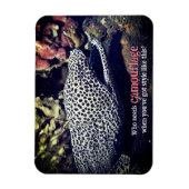 海面下でマダラ科ウナギ マグネット (縦)