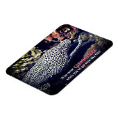 海面下でマダラ科ウナギ マグネット (左側)