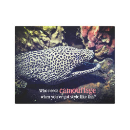 海面下でマダラ科ウナギ メタルプリント