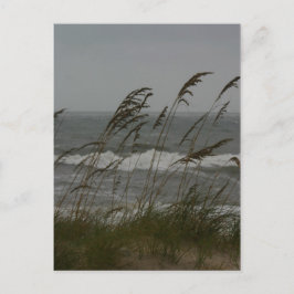 海風 ポストカード