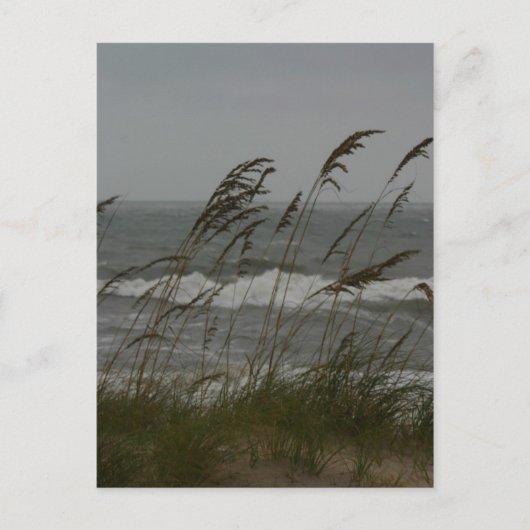 海風 ポストカード (正面)