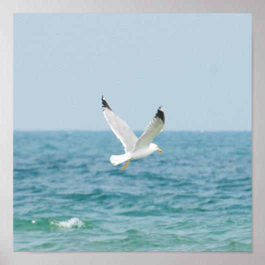 海飛んでいる上のカモメ ポスター (正面)