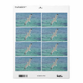 海飛んでいる上のカモメ ラベル (フルシート)
