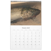 海食2026 カレンダー (1月 2026)