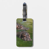 海馬が池で泳いでいる様子 ラゲッジタグ (裏面縦)