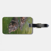 海馬が池で泳いでいる様子 ラゲッジタグ (裏面横)