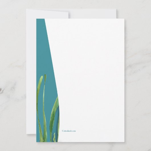 海馬と船貝 招待状 (裏面)