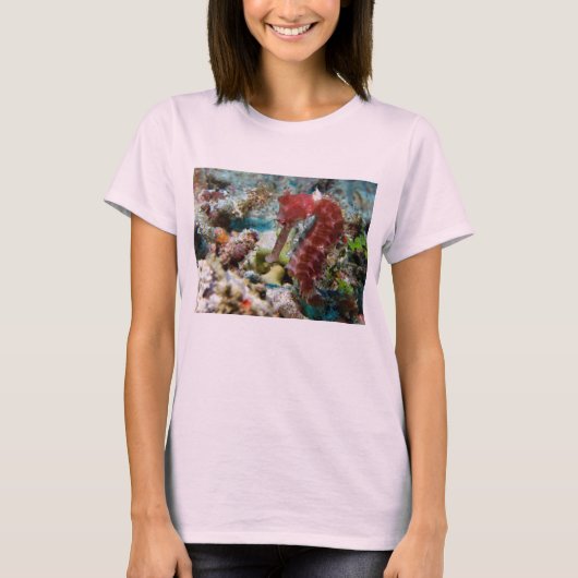 海馬の庭 Tシャツ (正面)