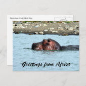 海馬の挨拶 ポストカード (正面/裏面)