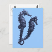 海馬の踊り(青) ポストカード (正面/裏面)