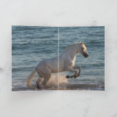 海馬の飼育 – 馬グリーティングカード カード (内部)