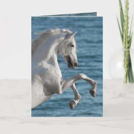 海馬の飼育 – 馬グリーティングカード カード