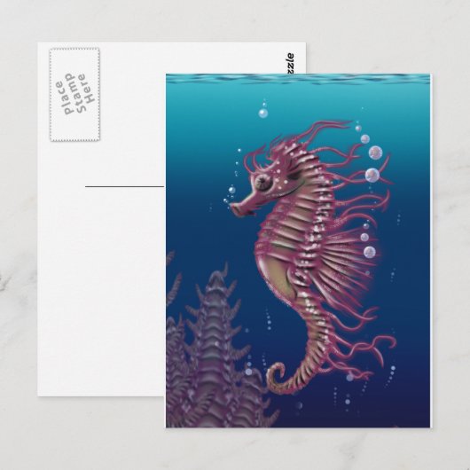 海馬はがき ポストカード (正面/裏面)