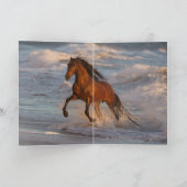 海馬アットサンセットホースグリーティングカード カード (内部)