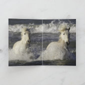 海馬グリーティングカード カード (内部)