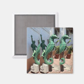 海馬ライダーマグネット マグネット (正面/裏面)