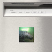 海馬抽象芸術 マグネット (インサイチュ (食洗機))