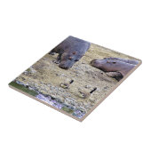 海馬 タイル (側面)