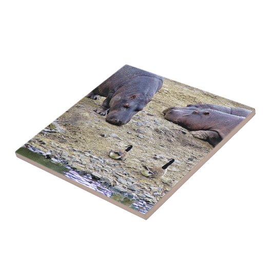 海馬 タイル (側面)