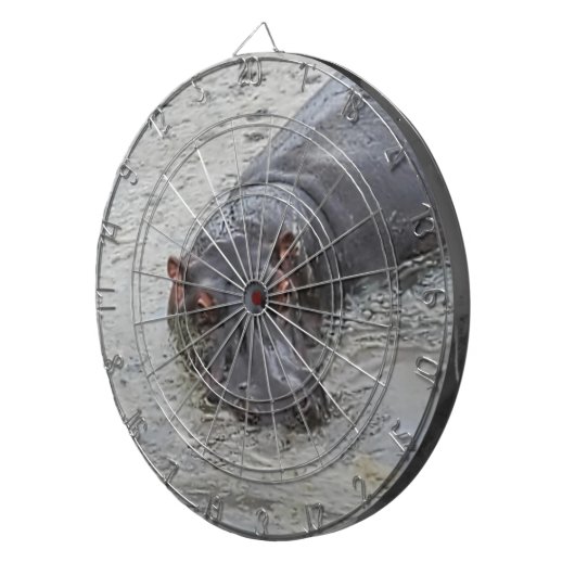 海馬 ダーツボード (正面右)